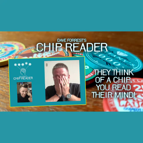 Chip Reader - Image 4
